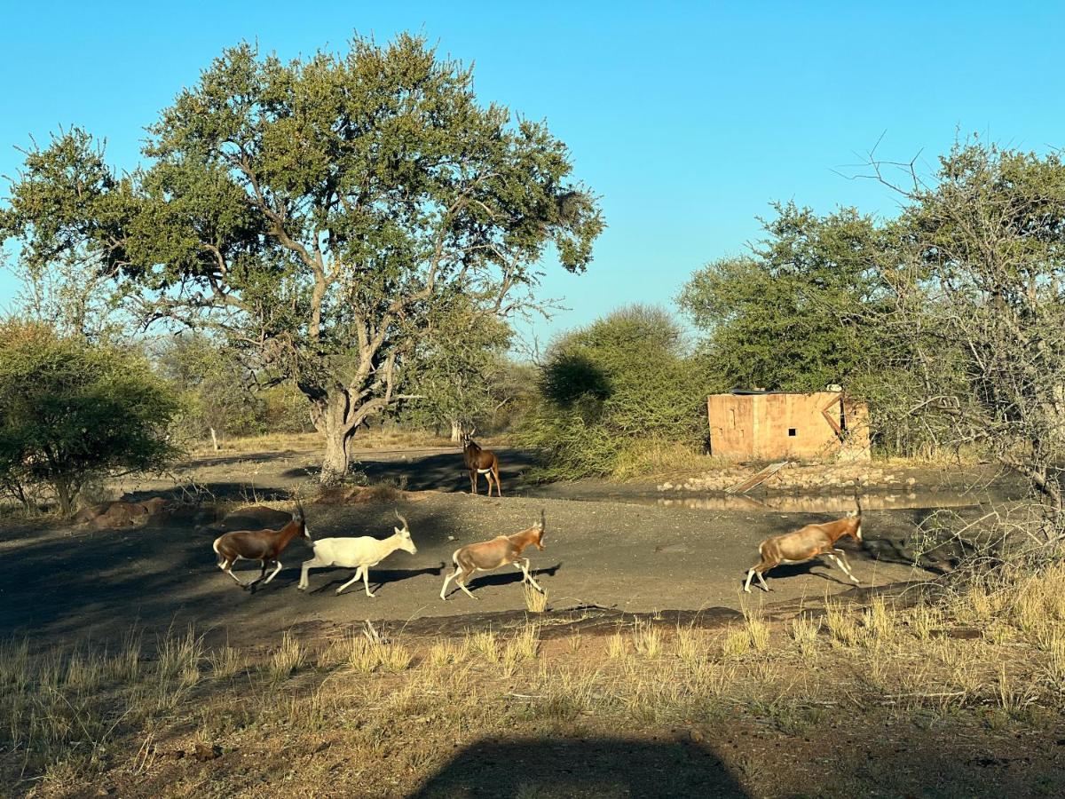 Simba Safaris African Pride Exotic Lodge Lephalale Exterior photo