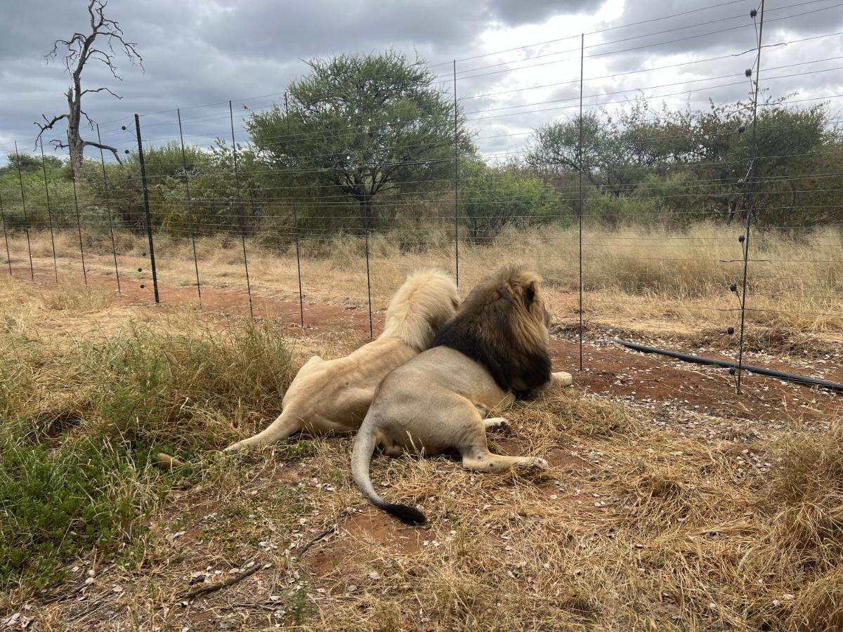 Simba Safaris African Pride Exotic Lodge Lephalale Exterior photo