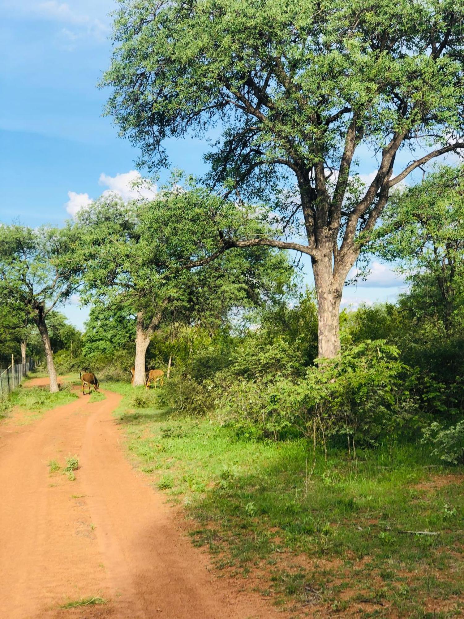 Simba Safaris African Pride Exotic Lodge Lephalale Exterior photo
