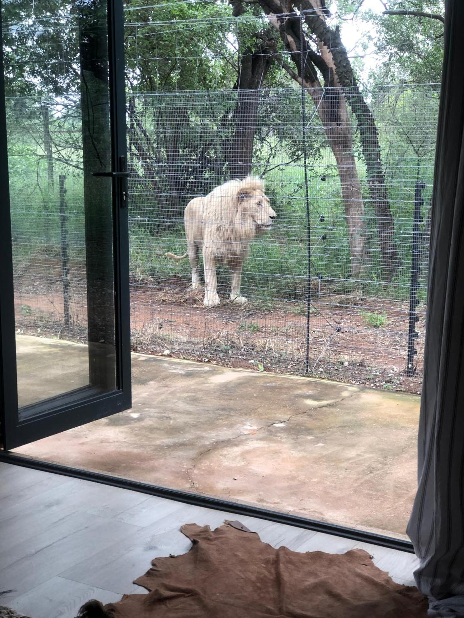 Simba Safaris African Pride Exotic Lodge Lephalale Exterior photo