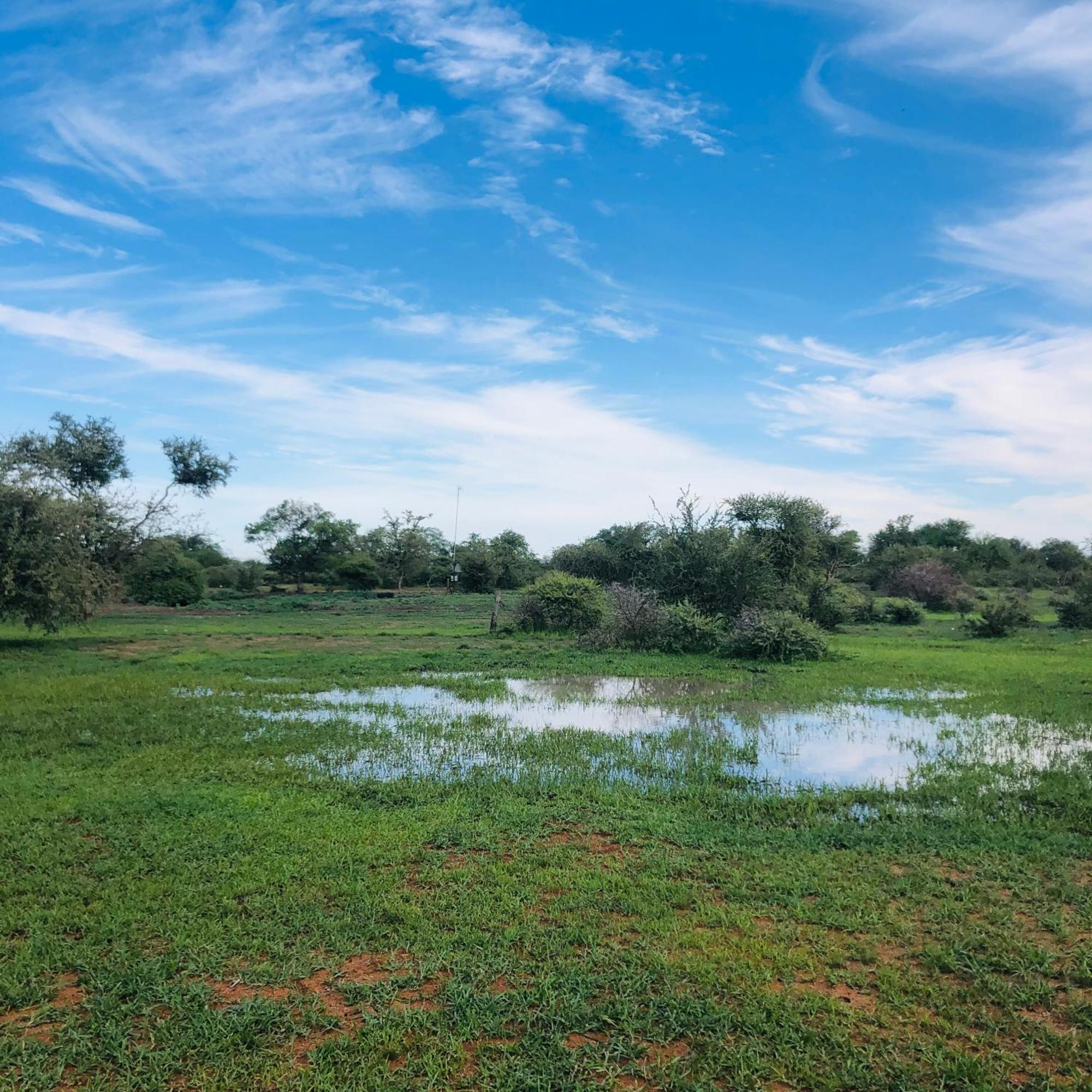 Simba Safaris African Pride Exotic Lodge Lephalale Exterior photo